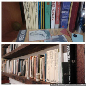 Captura con dos imágenes de dos bibliotecas con libros de John Fante